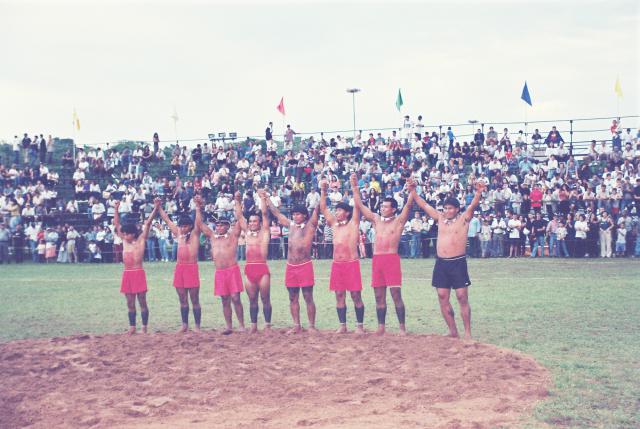 Equipe de Luta - masculino