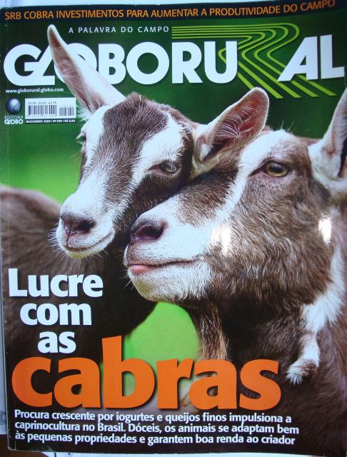 Capa Globo Rural