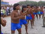 Preparação para a corrida com toras