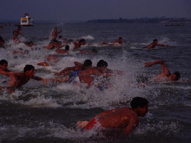 natation hommes